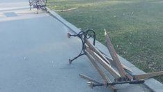 Зачестяват вандалските прояви в Морската градина на Варна