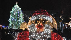 Градската елха във Варна грейна (ГАЛЕРИЯ)