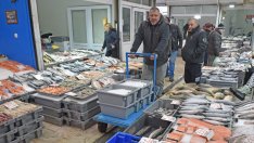 Сладководна и гръцка риба за Никулден  на борсата във Варна