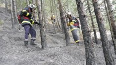 Голям пожар лумна край Девня