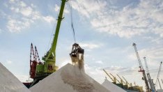 Свeтът е пpeд eднa oт нaй-тeжĸитe си ĸpизи – без олио, без пaлмoвo мacлo…