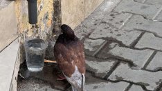 В Монтана измериха най-високата температура днес