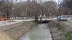 Прочистват Варна от вредни гризачи