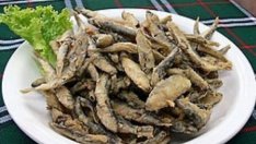 НАП-Варна е проверила над 320 обекта от 28 юни досега