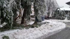 Септемврийски сняг изненада Словения