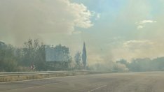 Лумна пожар до Провадия