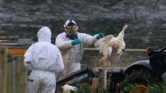 Епидемиолог: Идва зараза по-опасна от COVID-19