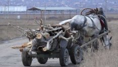 Задържаха 60-годишен да краде дърва в Долни чифлик