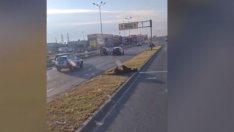 Убиха крава при катастрофа на Околовръстното шосе в София