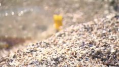  Черно море най-замърсено с микропластмаси - на нос Калиакра и при устието на река Камчия