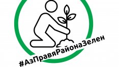 Планират засаждането на 435 нови дървета в центъра на Варна
