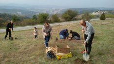 Засадиха 1 400 фиданки край с. Ботево