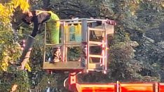 Започна резитба на клони по линиите на градския транспорт във Варна