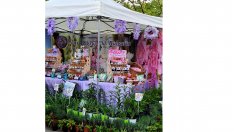 Фестивал "Флора Варна"  се провежда в Морската градина