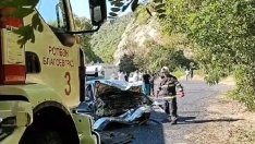 Нова тежка катастрофа. Затвориха Е-79 и в двете посоки