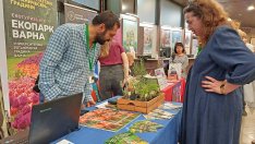 Над 100 събития ще се проведат в рамките на Варненския фестивал на науката