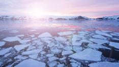 Плашеща статистика: Температурата на Антарктида стигна 18 градуса  