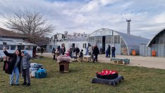 Варненски ученици посетиха приюта за кучета в Каменар