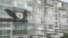 Дъждът идва към Варна