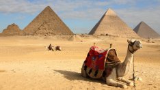 Екскурзоводи: В Египет е спокойно, има туристи от цял свят