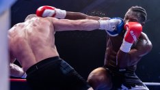 SENSHI 28 ще разтърси Варна с първия у нас Grand Prix турнир в тежка категория