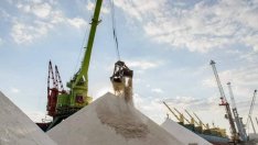 Отпускат 50 млн. евро за изграждане на нов зърнен терминал на пристанище Варна