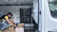 Социалният патронаж във Варна е с незапълнени места