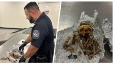 Зловещо: Откриха човешки останки в багажа на пътник