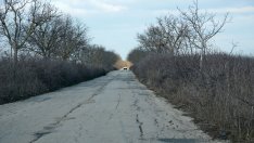 Община Варна ремонтира най-компрометираните участъци от пътя за село Долище