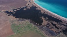 Пожар горя в защитена зона по "Натура 2000"