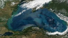 Tуроператорите от чужбина вече питат за качеството на водата по Черноморието у нас