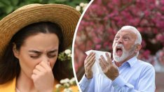 Започна сезонът на пролетните алергии