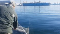 Извадиха стотици метри мрежи от водоемите във Варненско