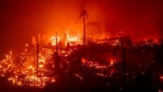 Овладяха напълно пожарите в Лос Анджелис