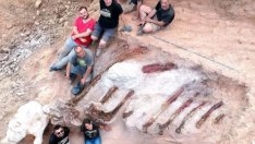 Учени разкопават в двор в Португалия останките на огромен динозавър