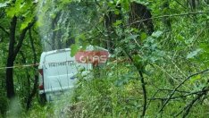 От "гората на ужаса" изровиха тела. Лъснаха пари, погребения, простотия