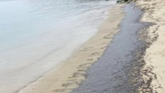 Проверяват сигнал за разлив на мазут в морето край Варна