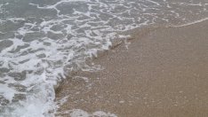 Обявиха търг за отдаване под наем на плаж край Варна