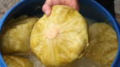 Виц на деня - 8 декември