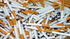 Иззеха 309 920 къса безакцизни цигари и тютюн в Хасковско