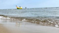 МОСВ: Българската акватория на Черно море е чиста