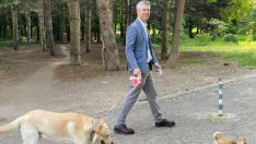 Коцев заплаши Община Варна: Ще върна Морската градина на държавата