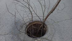 Клон пази шофьорите на слизане от "Хемус" към Слънчево