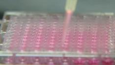 Ваксините на Пфайзер и Модерна - какви са приликите и разликите