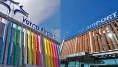 “Фрапорт” с официална позиция за наличието на безстопанствени животни на територията на морските ни летища