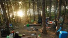 Полицията на лов за диво къмпингуващи по Северното Черноморие