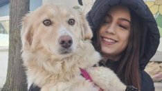 Увеличават се дарителите и осиновителите в кучкарника в Каменар (СНИМКИ)