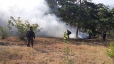 WWF: Над 90% от горските пожари в България са резултат от човешка намеса