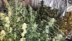 Окошариха шуменец, гледал трева „Под манастира" с приятелка