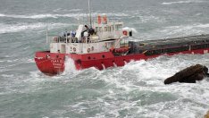 Морето около Камен бряг бъка от нитрати